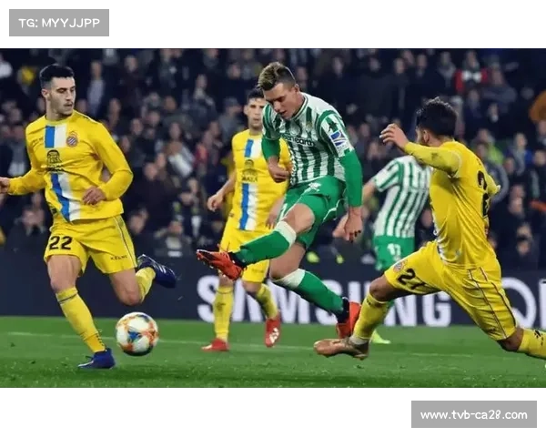 皇马近期稳健表现 德比战胜巴萨欧冠领跑 皇马近期稳健表现 德比战胜巴萨欧冠领跑